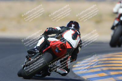 media/May-13-2023-SoCal Trackdays (Sat) [[8a473a8fd1]]/Turn 11 Backside (945am)/